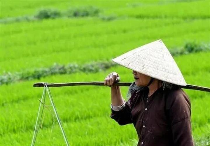 Chuyên gia Hotspot Matrix phân tích: Xe thì ít mà người xếp hàng và marketing video